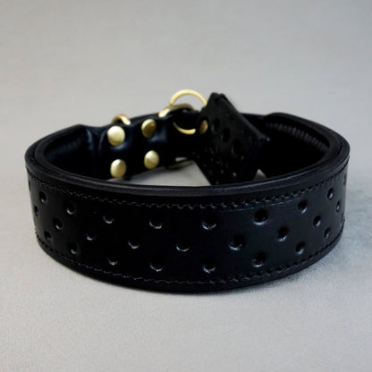 Holedeco Collar - L: neck between 44-54cm/ 4cm wide, for Medium and Large Dogs.