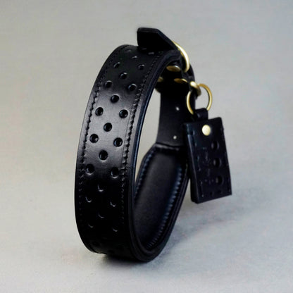 Holedeco Collar - L: neck between 44-54cm/ 4cm wide, for Medium and Large Dogs.