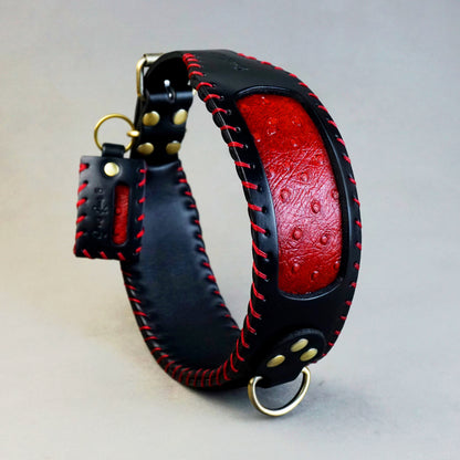 Decog Collar - M: neck between 49-59cm / 6cm wide, for Medium and Large Dogs.