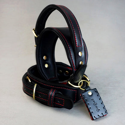 Two in one Collar - L: neck between 56-66cm / 6cm wide, for Medium and Large Dogs.