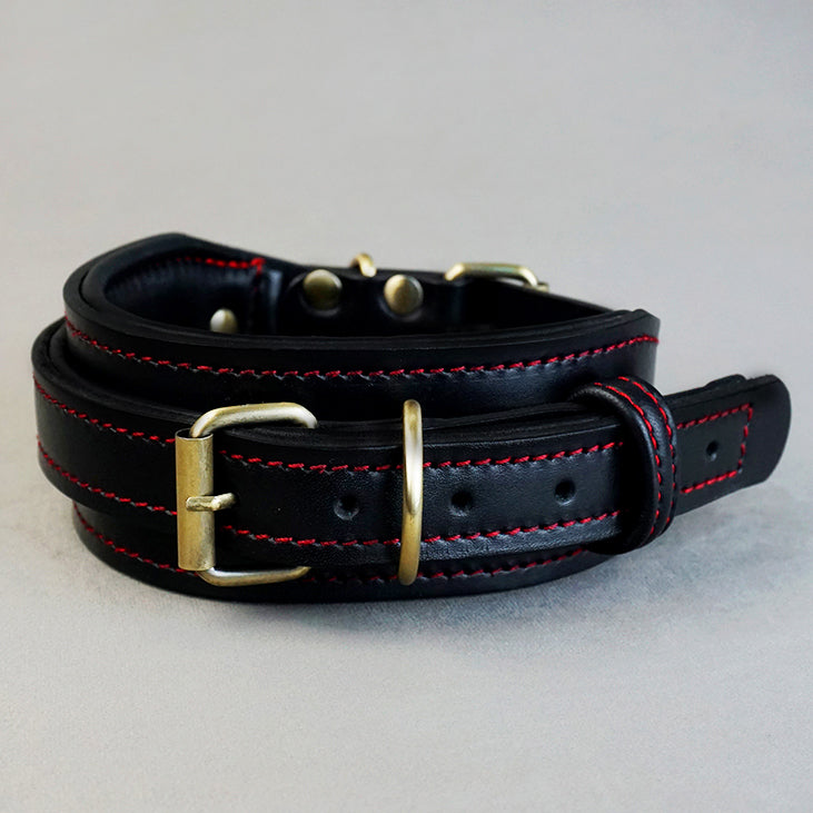 Two in one Collar - L: neck between 56-66cm / 6cm wide, for Medium and Large Dogs.