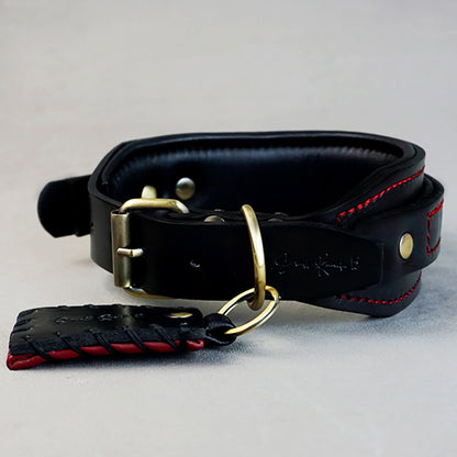 Two in one Collar - L: neck between 56-66cm / 6cm wide, for Medium and Large Dogs.