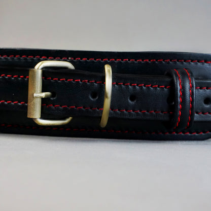 Two in one Collar - L: neck between 56-66cm / 6cm wide, for Medium and Large Dogs.